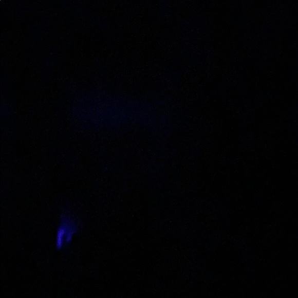 Meet your Posher, Belle - Picture 1 of 1